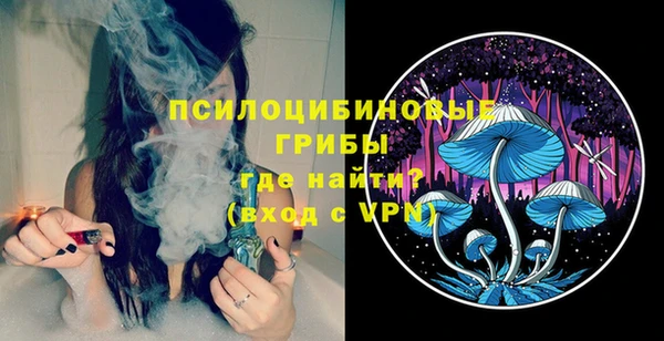 твердый Белокуриха
