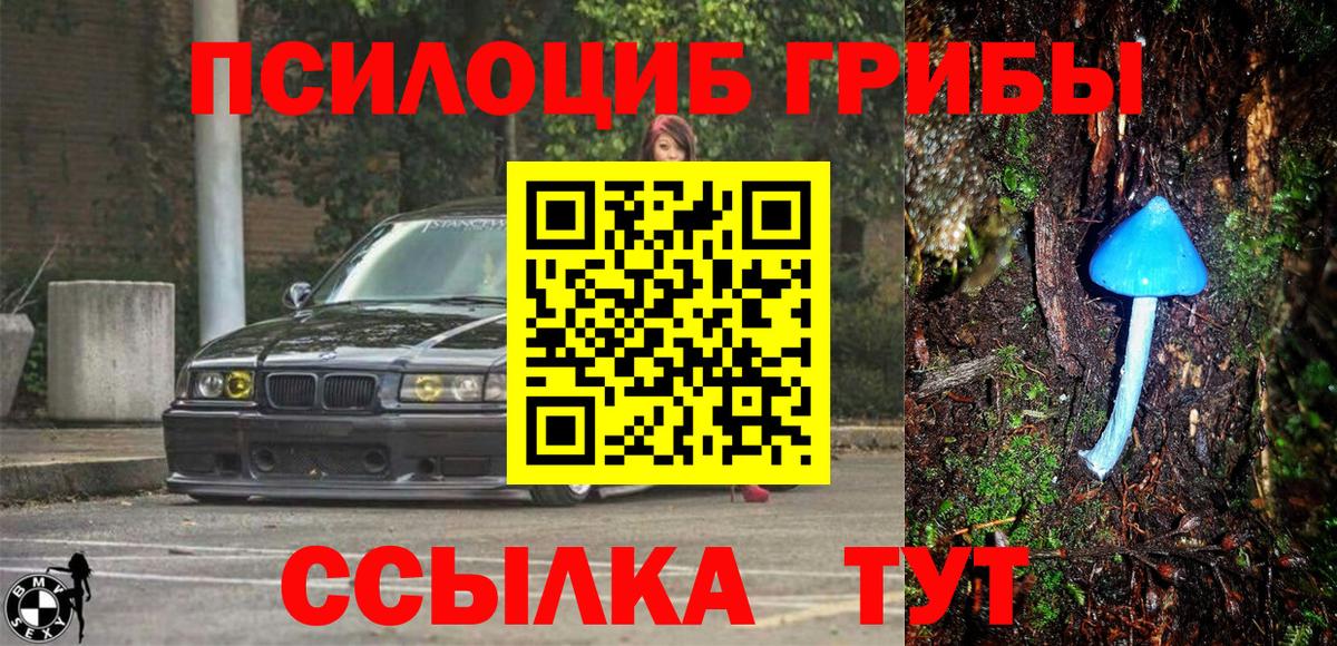 Сегежа  Галлюциногенные грибы GOLDEN TEACHER  Вход с VPN 